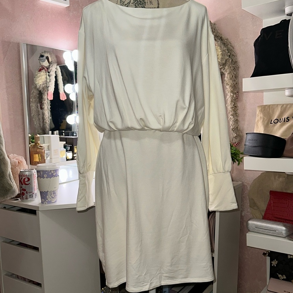 Express double lined one piece dress NWT